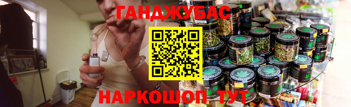 Каннабис планчик Аша